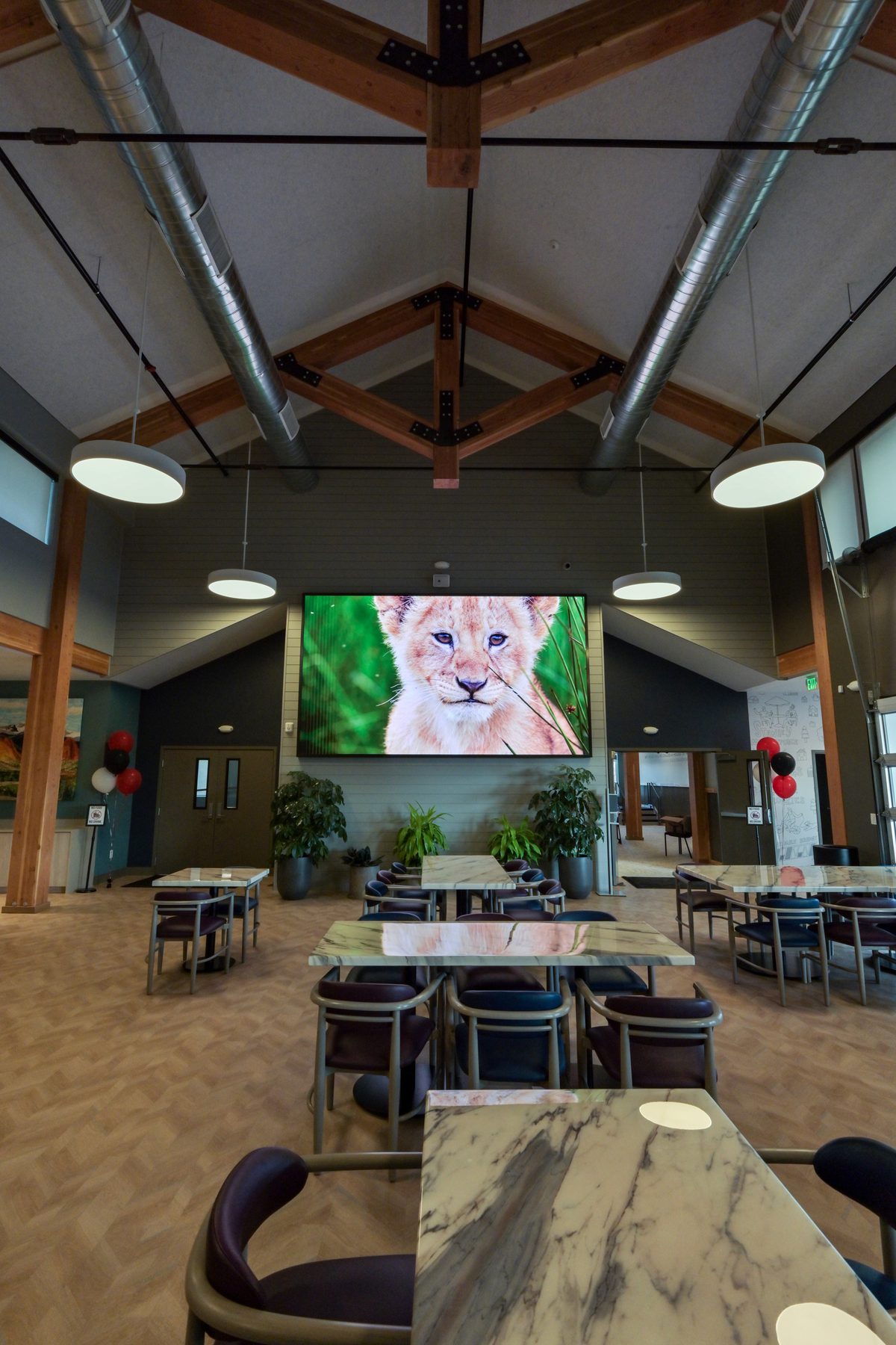 Large projection screen and video display